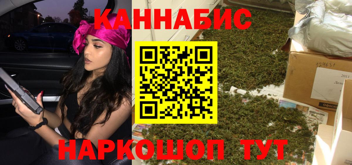 Бошки Шишки план Видное